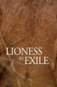 Львица в изгнании - Lioness in Exile