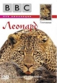 BBC Жизнь животных: Леопард - BBC The Wildlife Specials- Leopard