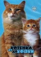 От котенка до кошки - Kittens to Cats