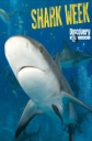 Animal Planet. Акулы под покровом ночи - Animal Planet. Shark after dark