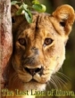 Animal Planet: Последняя львица Лиувы - Animal Planet- The Last Lion of Liuwa