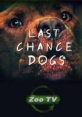 Осторожно, злая собака! - Last Chance Dogs