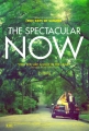 Захватывающее время - The Spectacular Now