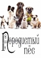 Породистый пёс - Purebred dog
