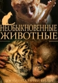 Необыкновенные животные - Extraordinary Animals