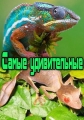 Самые удивительные - Most Outrageous. Odd Looking Pets