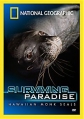 Гавайские тюлени-монахи: Выживающий рай - Hawaiian monk seals- Surviving paradise