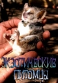 Экзотические питомцы - Preposterous pets