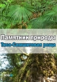 Памятник природы - Тисо-Самшитовая роща - 