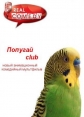  Club - Popugai Club