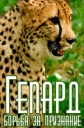  -    - Cheetah - Race to Rule