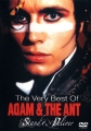 Adam And The Ants - Stand And Deliver - 