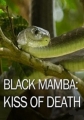  :   - Black Mamba- kiss of death