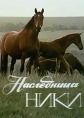 Наследница Ники - 