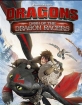:  .  - Dragons- Dawn of the Dragon Racers