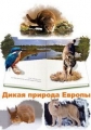 Дикая природа Европы - 