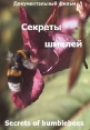 Секреты шмелей - 