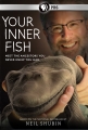 Внутренняя рыба - Your Inner Fish