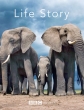 История Жизни - Life Story