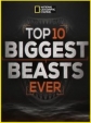 -10  - Top 10 Biggest Beasts Ever