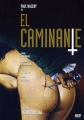 Странник - El caminante