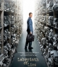    - Im Labyrinth des Schweigens