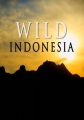 Дикая природа Индонезии - Wild Indonesia