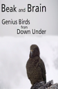   .   - Beak and Brain - Genius birds from Down Under