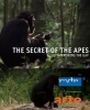  .   - The Secret of the Apes - Narrowing the GAP