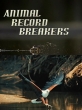     - Animal Record Breakers