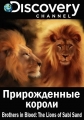 Прирожденные короли - Brothers in Blood- The Lions of Sabi Sand