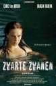 Черные лебеди - Zwarte zwanen