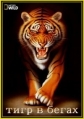    - Tiger On The Run