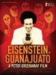 Эйзенштейн в Гуанахуато - Eisenstein in Guanajuato