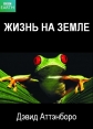 Жизнь на Земле - Life on Earth