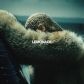 Beyonc? - LEMONADE - 