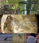 Страна птиц - 
