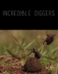   - Incredible Diggers