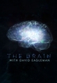 Мозг с Дэвидом Иглменом - The Brain with David Eagleman