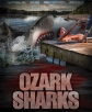 Озаркские акулы - Ozark Sharks