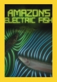 Амазонская электрическая рыба - Amazon's Electric Fish