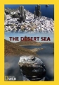 Пустынное море - The Desert Sea