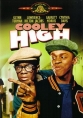 Училище Кули - Cooley High