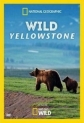 Дикий Йеллоустоун - Wild Yellowstone