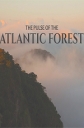 Пульс Атлантического леса - The Pulse of the Atlantic Forest