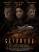 Зависшие в воздухе - Skybound