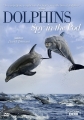 Дельфины скрытой камерой - Dolphins- Spy in the Pod