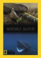 Nat Geo Wild: Удивительные большероты - Incredible Gulpers