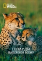 Чудо-гепард - The miracle cheetah