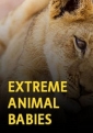 Малыши-экстремалы - Extreme babies animal